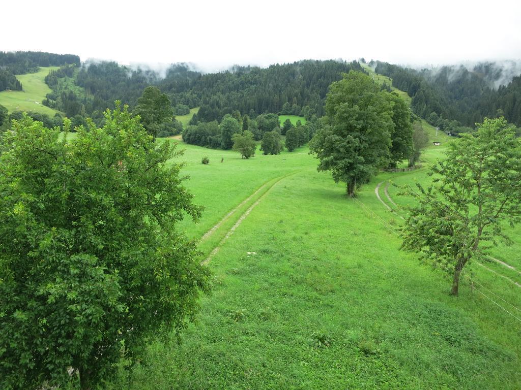 Ferienwohnungen Marchanger Niederau Quarto foto